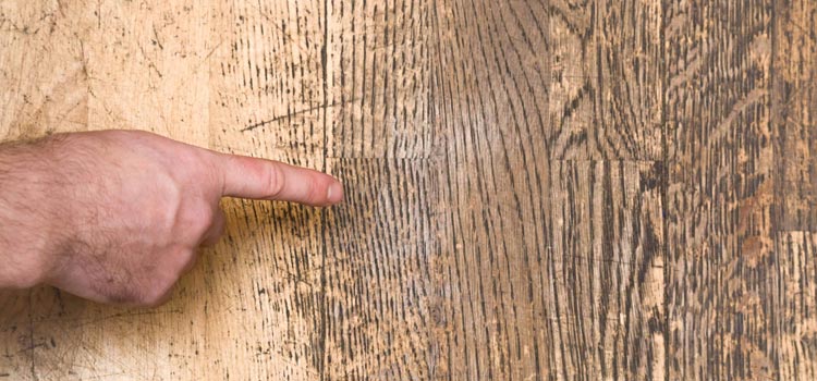 Wood Door Scratch Repair in East Foothills
